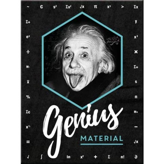 Magnet - Einstein - Genius