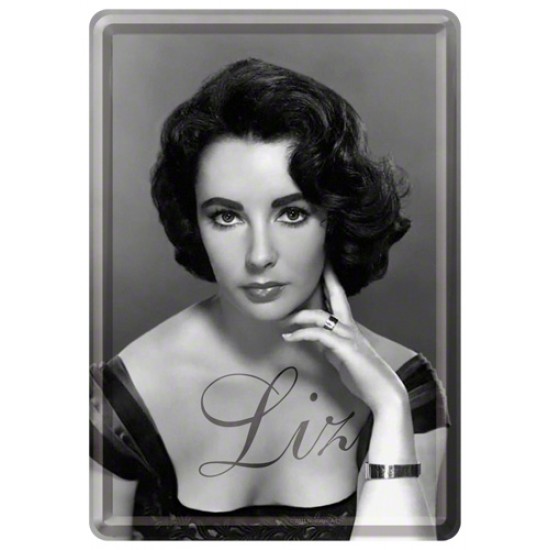 Placa metalica - Elizabeth Taylor - 10x14 cm