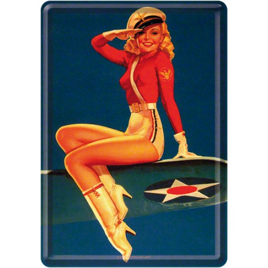 Placa metalica - Pin Up - Steward - 10x14 cm