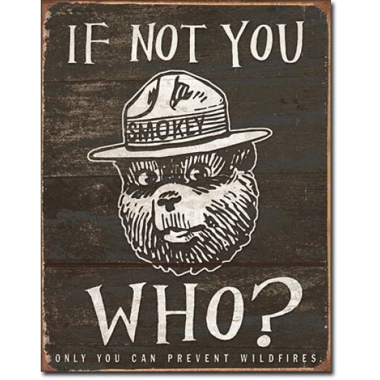 Placa metalica - Smokey Bear - If not you - 30x40 cm