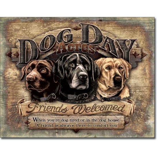 Placa metalica - Dog Day - 30x40 cm