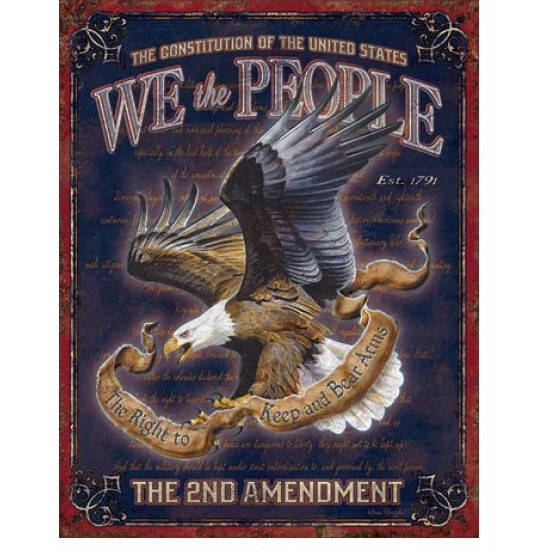 Placa metalica - We The People - 2nd Amendment - 30x40 cm