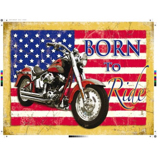 Placa metalica - Born to Ride - 30x40 cm