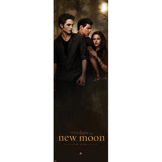 Poster - Twilight - New Moon