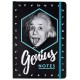 Agenda A5 - Einstein - Genius notes