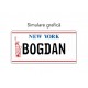 Personalizare placa SUA - NEW YORK