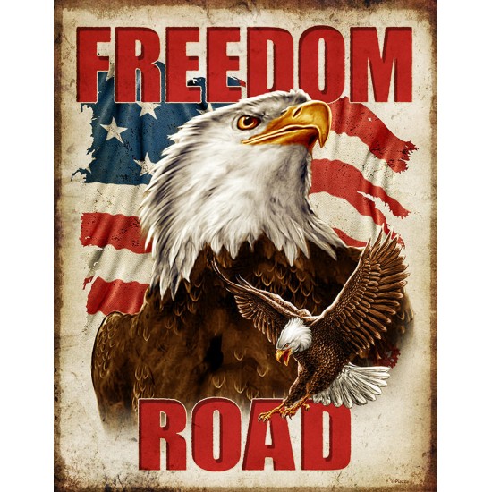 Tablou metalic Freedom Road Eagle 30x40cm