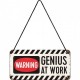 Placa metalica cu snur - Genius at work - 10x20 cm